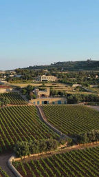 Under The Tuscan Sun @ Ta' Betta Winery • 20th Oct