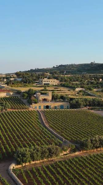Under The Tuscan Sun @ Ta' Betta Winery • 20th Oct